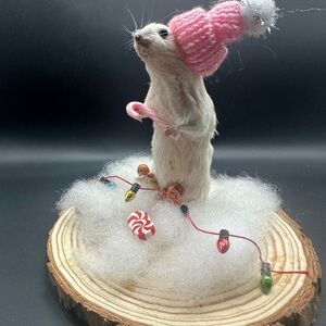 Festive Small Pet Decor with Pink Hat Taxidermy Real OOAK